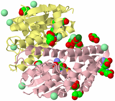 Image Biological Unit 2