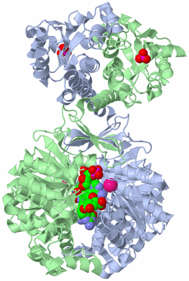 Image Asym./Biol. Unit