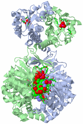 Image Asym./Biol. Unit - sites