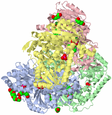 Image Asym./Biol. Unit