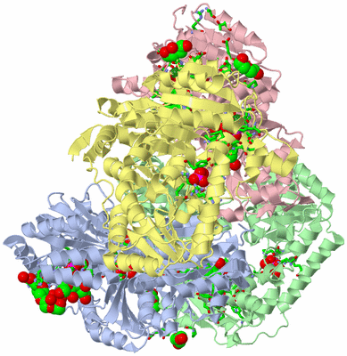 Image Asym./Biol. Unit - sites