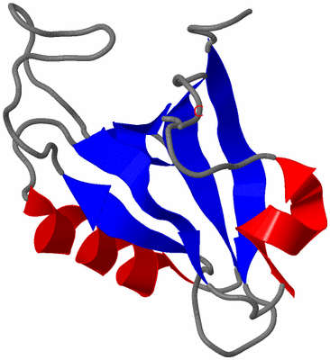 Image NMR Structure - model 1