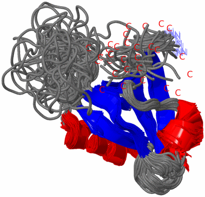 Image NMR Structure - all models