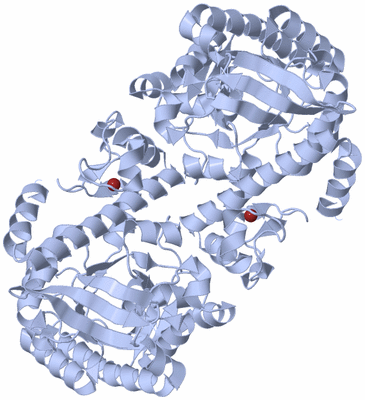 Image Biological Unit 2