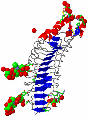 Image Asym./Biol. Unit - sites