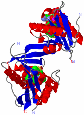 Image Asym./Biol. Unit