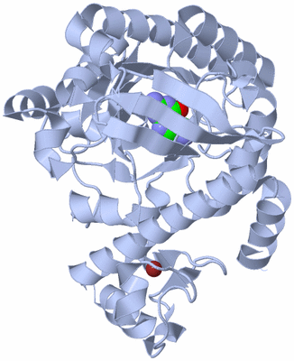 Image Biological Unit 1