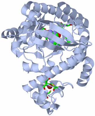 Image Biol. Unit 1 - sites