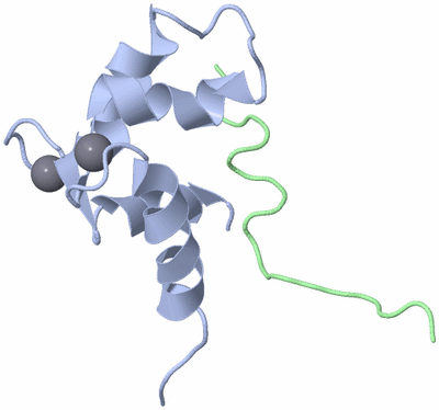 Image NMR Structure - model 1