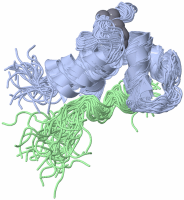 Image NMR Structure - all models