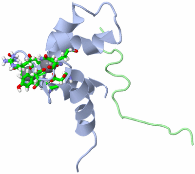 Image NMR Structure - model 1, sites