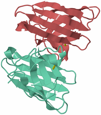 Image Biological Unit 3