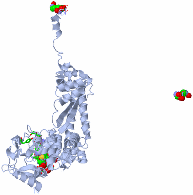 Image Biol. Unit 1 - sites
