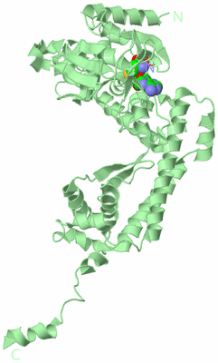 Image Biological Unit 2