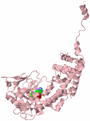 Image Biological Unit 3