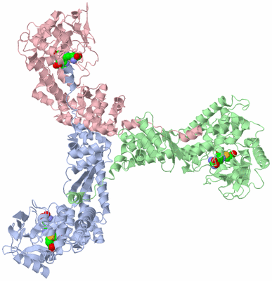 Image Biological Unit 4