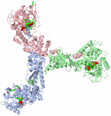 Image Asym. Unit - sites