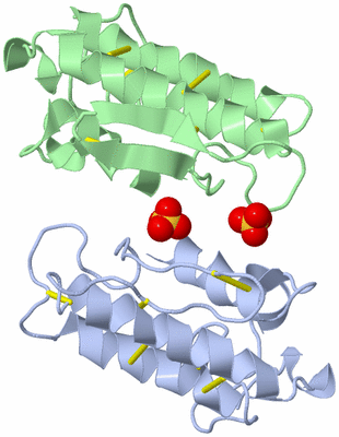 Image Biological Unit 3