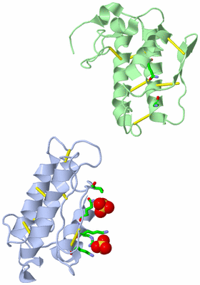 Image Asym. Unit - sites