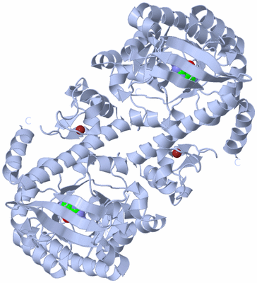 Image Biological Unit 2