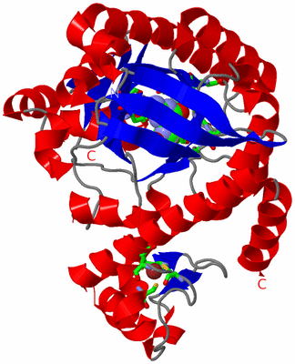 Image Asym. Unit - sites