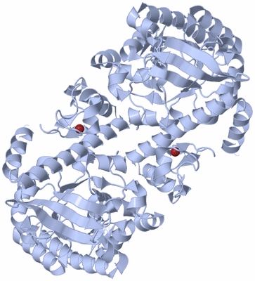 Image Biological Unit 2