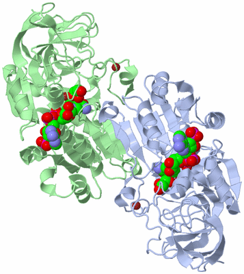 Image Asym./Biol. Unit