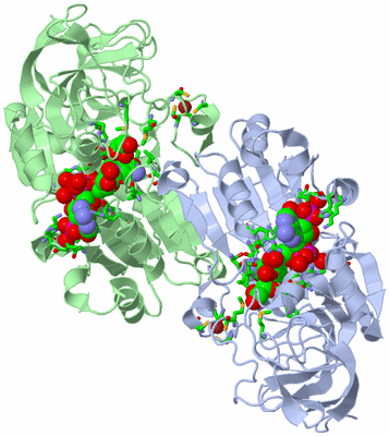 Image Asym./Biol. Unit - sites