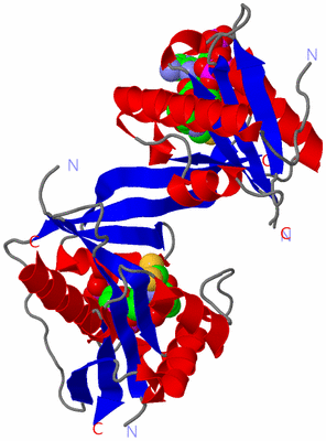 Image Asym./Biol. Unit