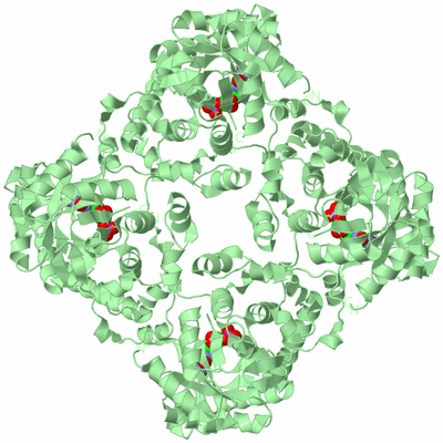 Image Biological Unit 3