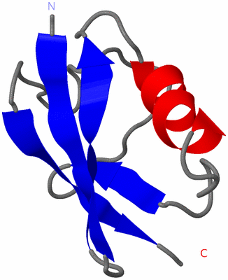 Image NMR Structure - model 1