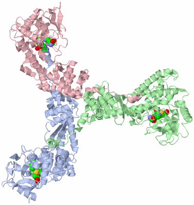 Image Asymmetric Unit