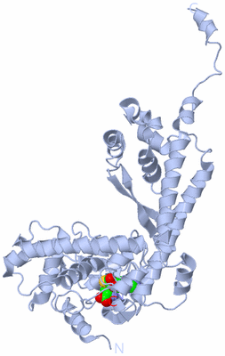 Image Biological Unit 1