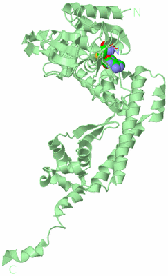 Image Biological Unit 2