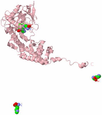 Image Biological Unit 3