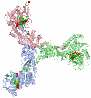 Image Asym. Unit - sites