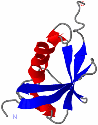 Image NMR Structure - model 1