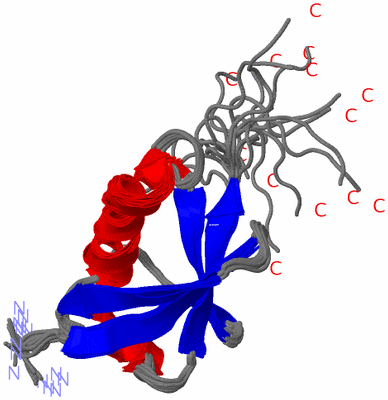 Image NMR Structure - all models