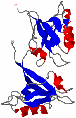 Image NMR Structure - model 1