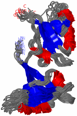 Image NMR Structure - all models