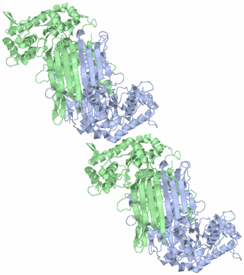 Image Biological Unit 1