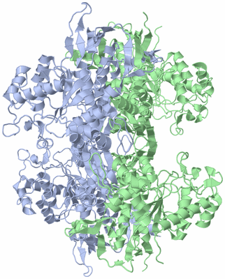 Image Biological Unit 2