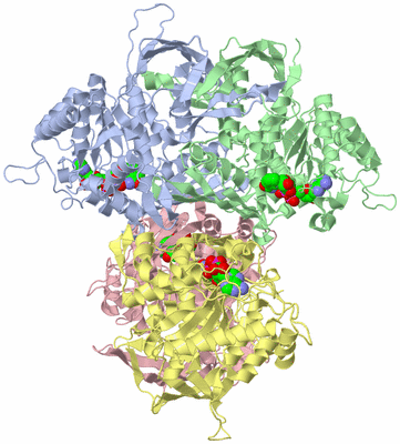 Image Asym./Biol. Unit