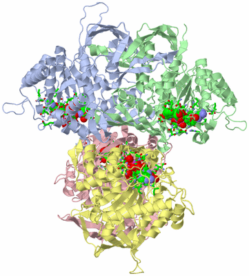 Image Asym./Biol. Unit - sites