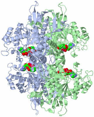 Image Biological Unit 1