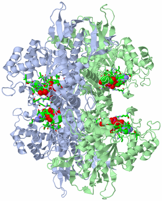 Image Biol. Unit 1 - sites