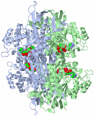 Image Biological Unit 1