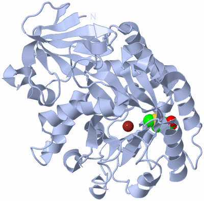 Image Biological Unit 1