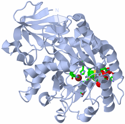 Image Biol. Unit 1 - sites