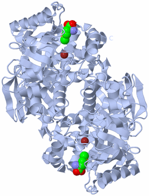 Image Biological Unit 2